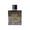 Rayhaan Imperia EDP 100ml for men perfume bottle