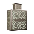 Rayhaan Terra EDP 100ml for men perfume bottle