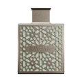 Rayhaan Terra EDP 100ml for men perfume bottle
